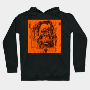 Monkey see Monkey do Hoodie